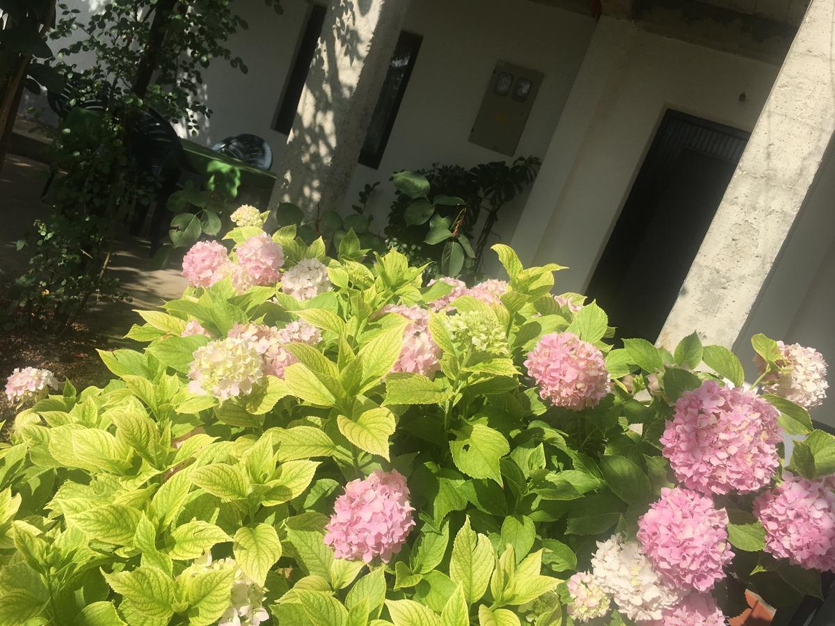 Guesthouse Star Mostar Luaran gambar